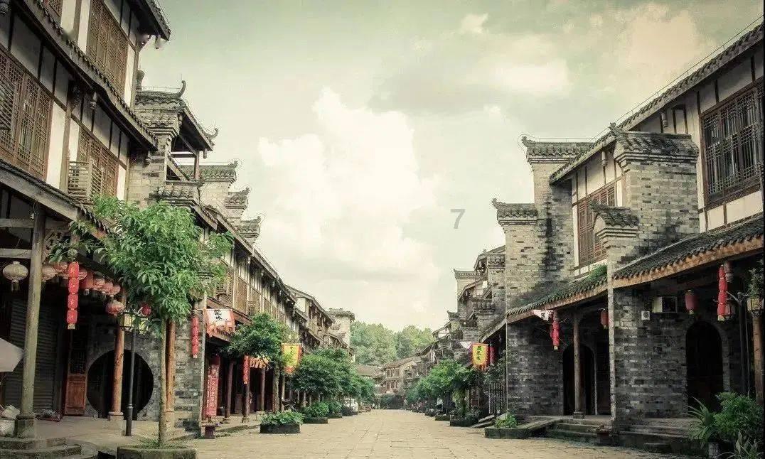 饿狮救援